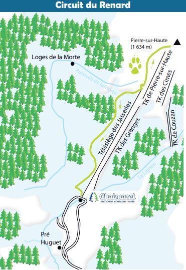 Circuit de raquettes à Chalmazel - Renard